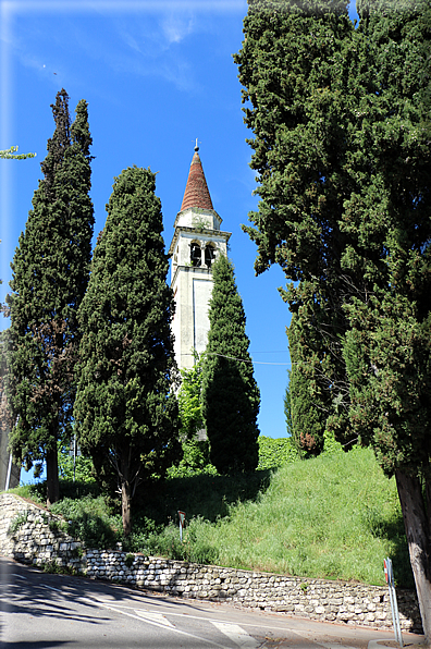 foto Colli degli Ezzelini